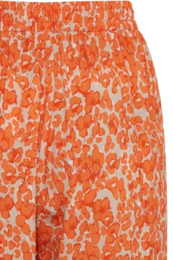 Ichi IHAYA Shorts