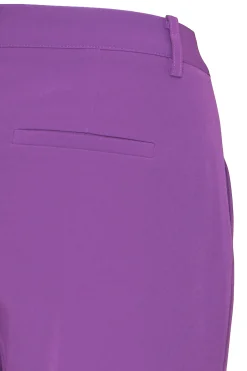 Ichi IHLEXI Pantalon