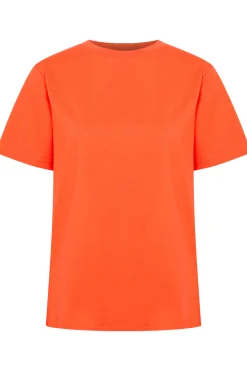 Ichi IHPALMER T-shirt