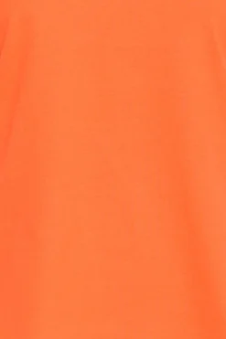 Ichi IHPALMER T-shirt